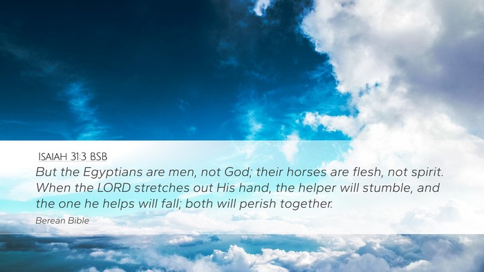 Isaiah 31:3 BSB Bible Verse Image