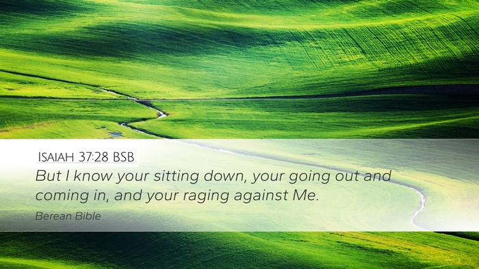 Isaiah 37:28 BSB Bible Verse Image