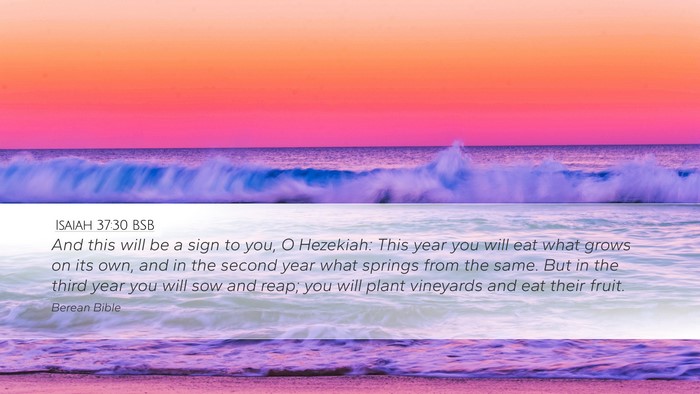 Isaiah 37:30 BSB Bible Verse Image