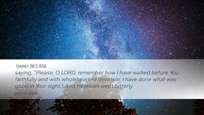 Isaiah 38:3 BSB Bible Verse Image