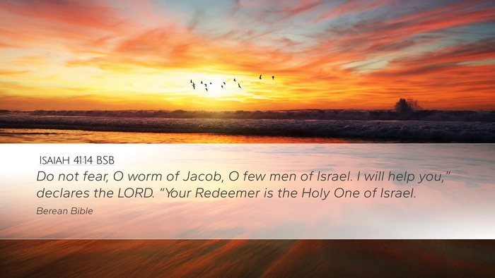 Isaiah 41:14 BSB Bible Verse Image