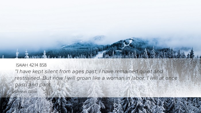 Isaiah 42:14 BSB Bible Verse Image