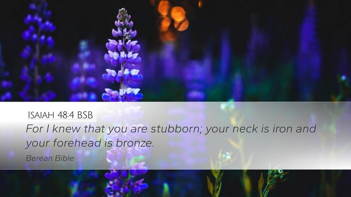 Isaiah 48:4 BSB Bible Verse Image
