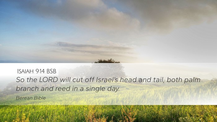 Isaiah 9:14 BSB Bible Verse Image