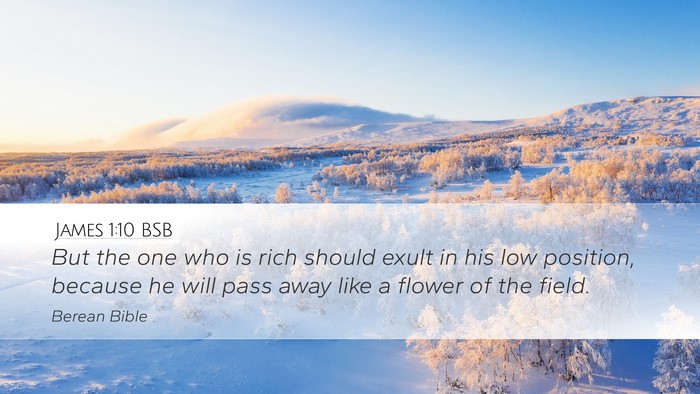 James 1:10 BSB Bible Verse Image