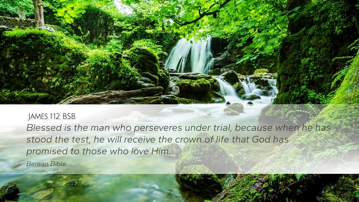 James 1:12 BSB Bible Verse Image