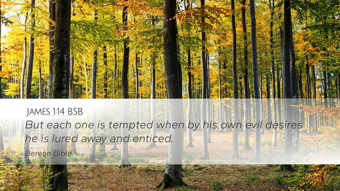 James 1:14 BSB Bible Verse Image