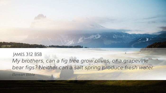 James 3:12 BSB Bible Verse Image