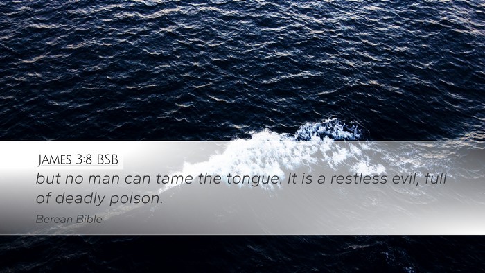James 3:8 BSB Desktop Wallpaper - but no man can tame the tongue. It is a restless - Desktop Bible Verse Wallpaper