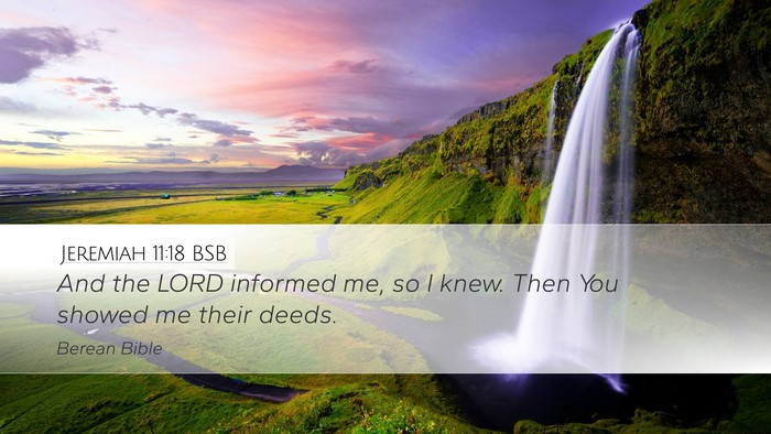 Jeremiah 11:18 BSB Desktop Wallpaper - And the LORD informed me, so I knew. Then You - Desktop Bible Verse Wallpaper