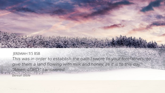 Jeremiah 11:5 BSB Desktop Wallpaper - This was in order to establish the oath I swore - Desktop Bible Verse Wallpaper
