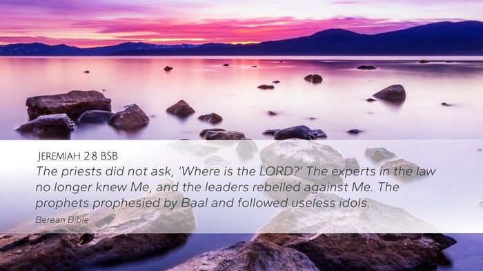 Jeremiah 2:8 BSB Bible Verse Image