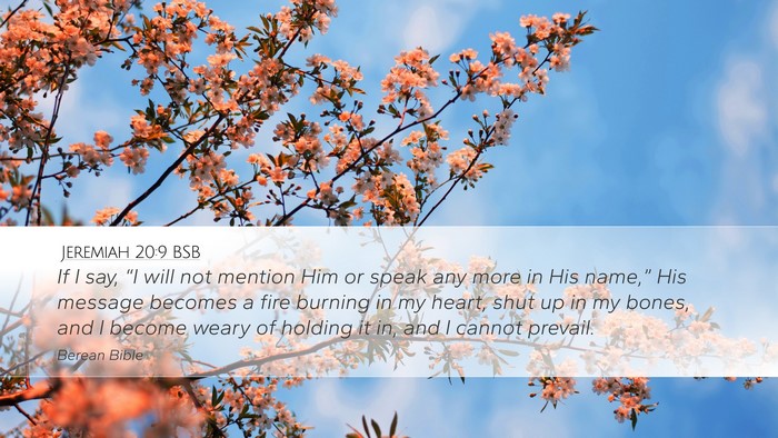 Jeremiah 20:9 BSB Bible Verse Image