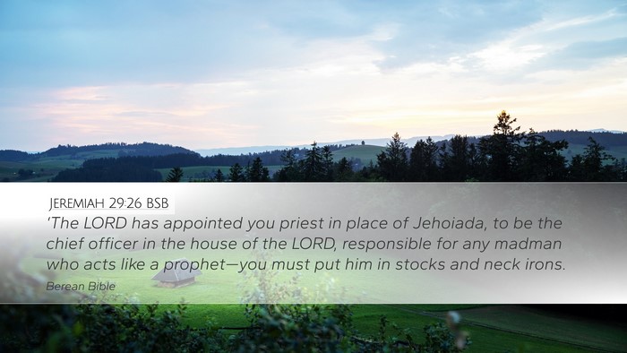 Jeremiah 29:26 BSB Bible Verse Image