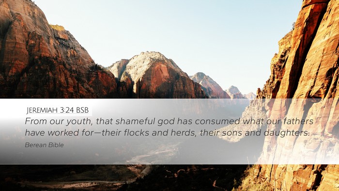 Jeremiah 3:24 BSB Bible Verse Image