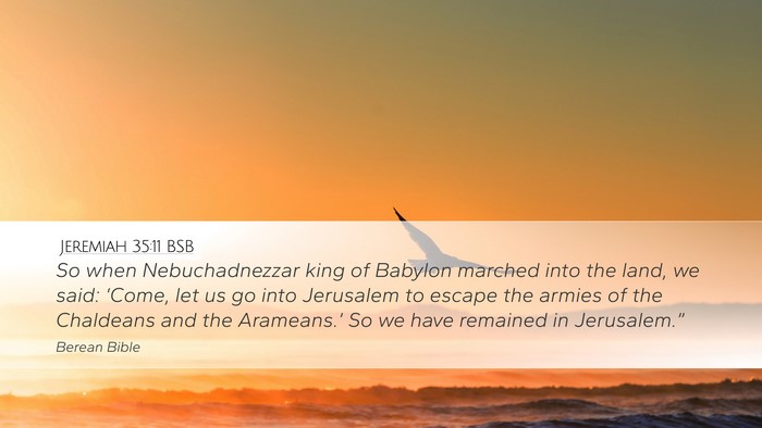 Jeremiah 35:11 BSB Bible Verse Image