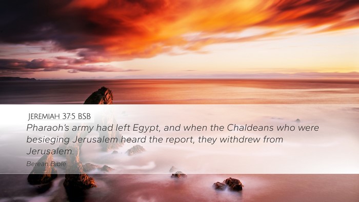 Jeremiah 37:5 BSB Bible Verse Image