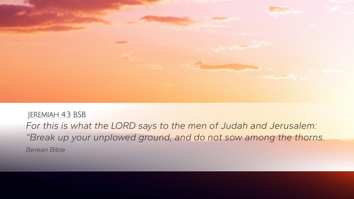 Jeremiah 4:3 BSB Desktop Wallpaper - For this is what the LORD says to the men of - Desktop Bible Verse Wallpaper
