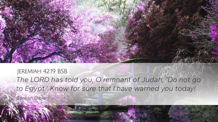 Jeremiah 42:19 BSB Bible Verse Image