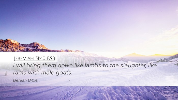 Jeremiah 51:40 BSB Bible Verse Image