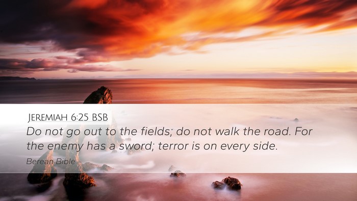 Jeremiah 6:25 BSB Bible Verse Image