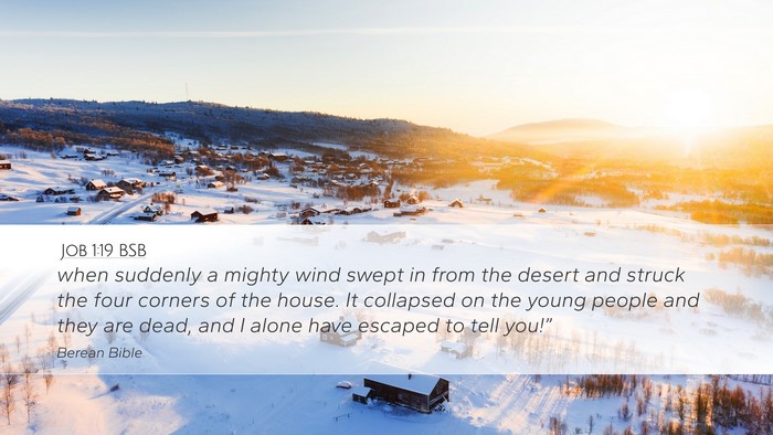 Job 1:19 BSB Bible Verse Image