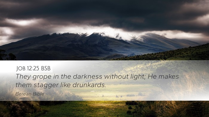 Job 12:25 BSB Bible Verse Image