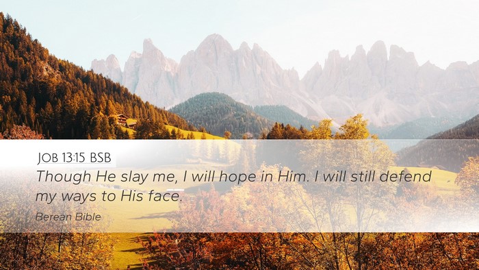 Job 13:15 BSB Bible Verse Image