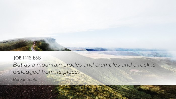 Job 14:18 BSB Bible Verse Image