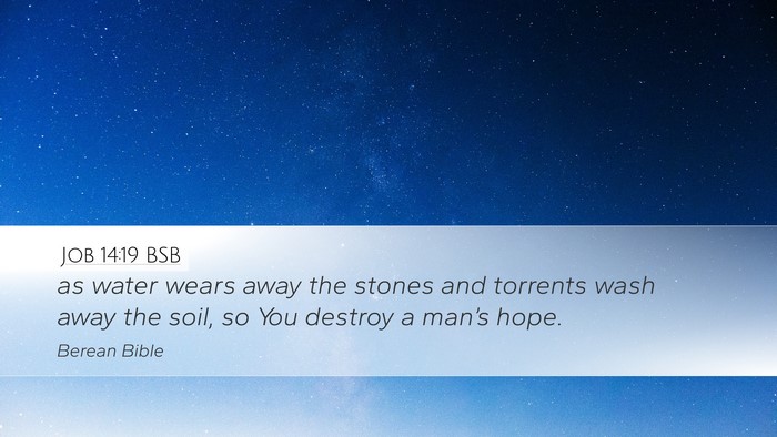 Job 14:19 BSB Bible Verse Image