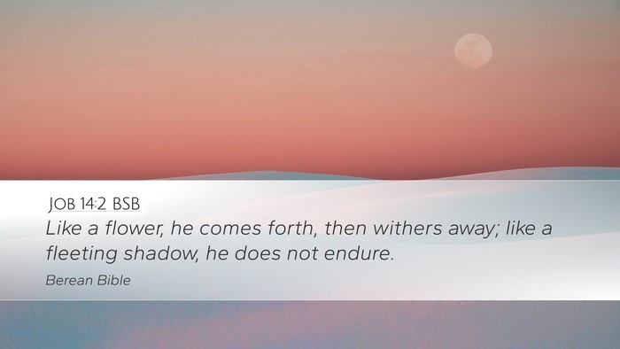 Job 14:2 BSB Bible Verse Image