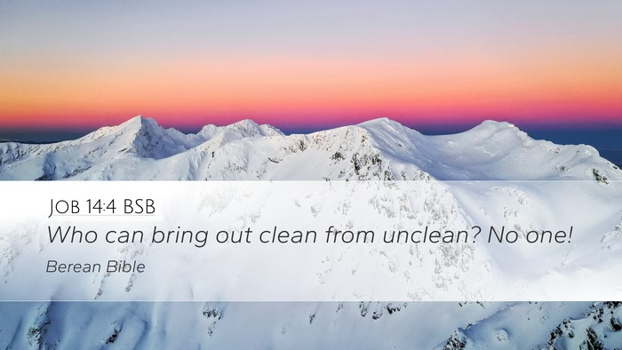 Job 14:4 BSB Bible Verse Image
