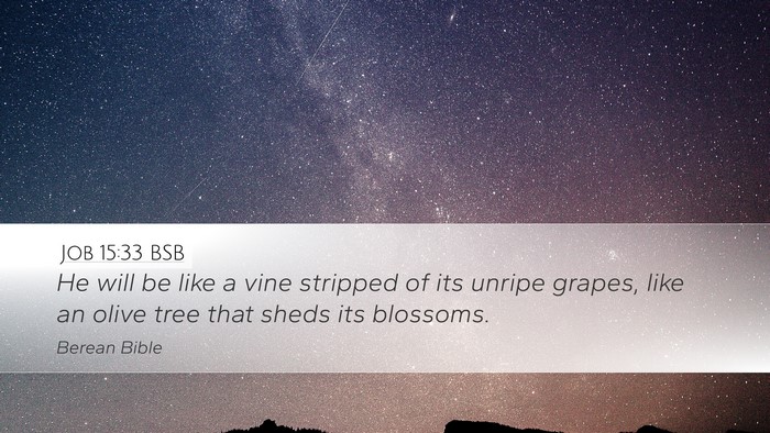 Job 15:33 BSB Desktop Wallpaper - He will be like a vine stripped of its unripe - Desktop Bible Verse Wallpaper