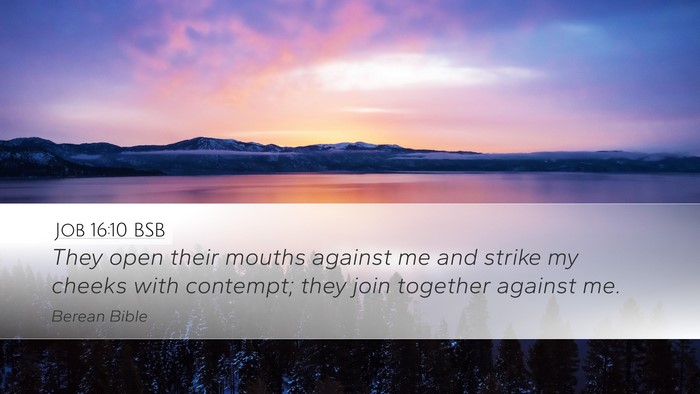 Job 16:10 BSB Bible Verse Image