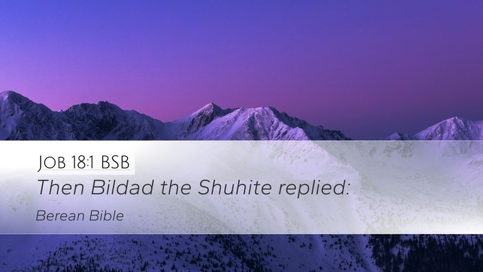 Job 18:1 BSB Desktop Wallpaper - Then Bildad the Shuhite - Desktop Bible Verse Wallpaper