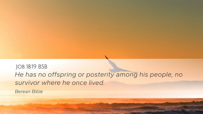 Job 18:19 BSB Bible Verse Image