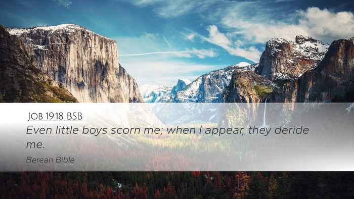 Job 19:18 BSB Bible Verse Image