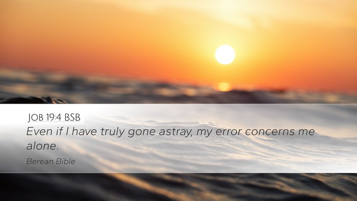 Job 19:4 BSB Desktop Wallpaper - Even if I have truly gone astray, my error - Desktop Bible Verse Wallpaper