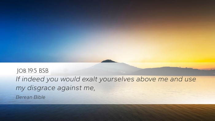 Job 19:5 BSB Bible Verse Image