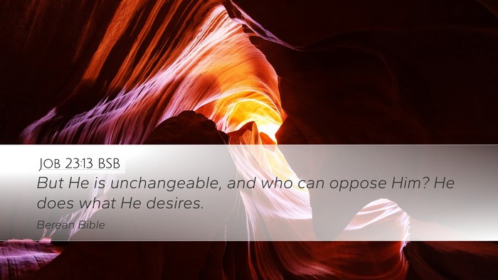 Job 23:13 BSB Bible Verse Image