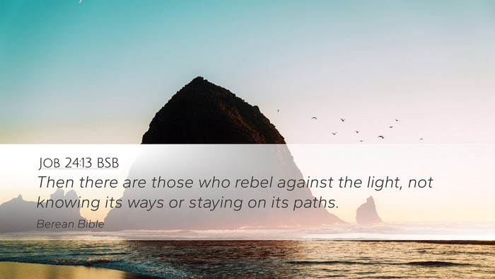 Job 24:13 BSB Bible Verse Image