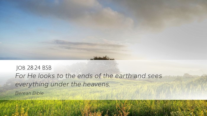 Job 28:24 BSB Bible Verse Image