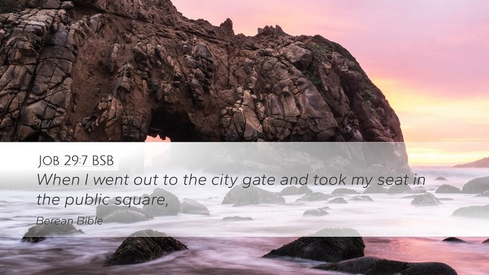 Job 29:7 BSB Bible Verse Image