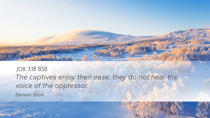 Job 3:18 BSB Bible Verse Image