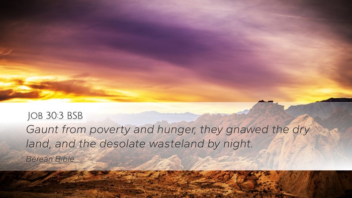Job 30:3 BSB Bible Verse Image