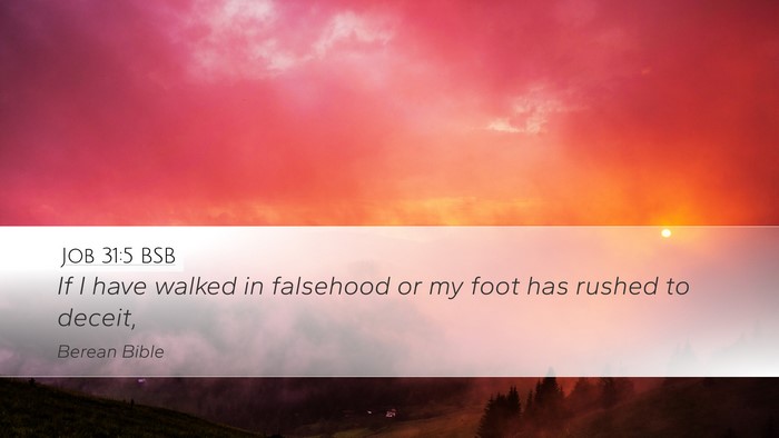 Job 31:5 BSB Desktop Wallpaper - If I have walked in falsehood or my foot has - Desktop Bible Verse Wallpaper