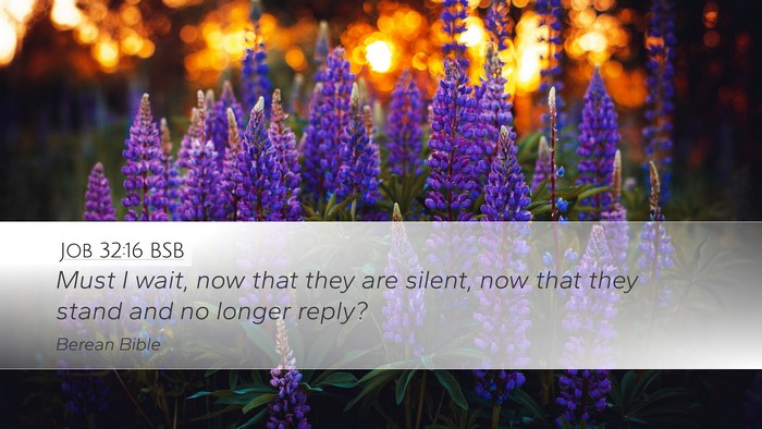 Job 32:16 BSB Desktop Wallpaper - Must I wait, now that they are silent, now that - Desktop Bible Verse Wallpaper