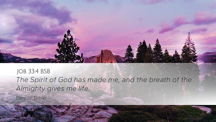 Job 33:4 BSB Bible Verse Image