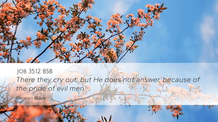 Job 35:12 BSB Bible Verse Image