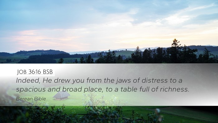 Job 36:16 BSB Bible Verse Image